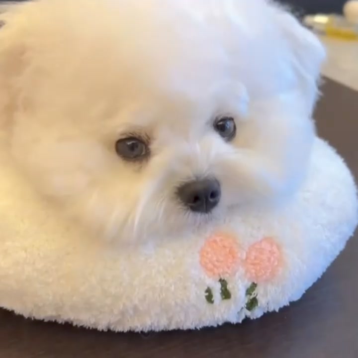 Cuddle's™ Pet Calming Pillow