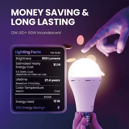 EverReady™ Power-Out Bulb
